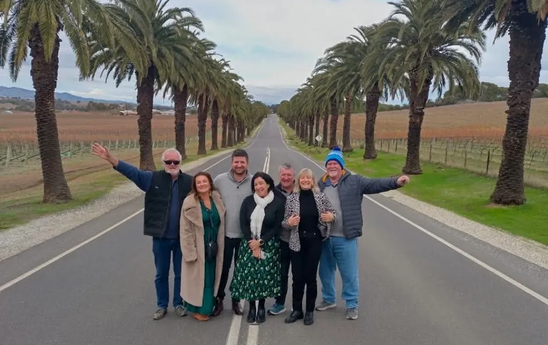 Rolling hills of the Barossa Valley at sunset